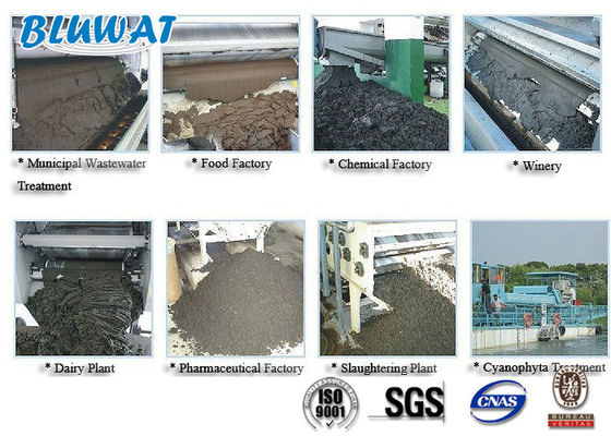 خرید پلی آکریل آمید کاتیونی پودر سفید برای آبگیری لجن ساخت آنلاین