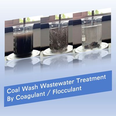 خرید Coal Wash Wash Wash Polymer Polymer Bluwat Chemicals Polyacrylamide Flocculant ساخت آنلاین